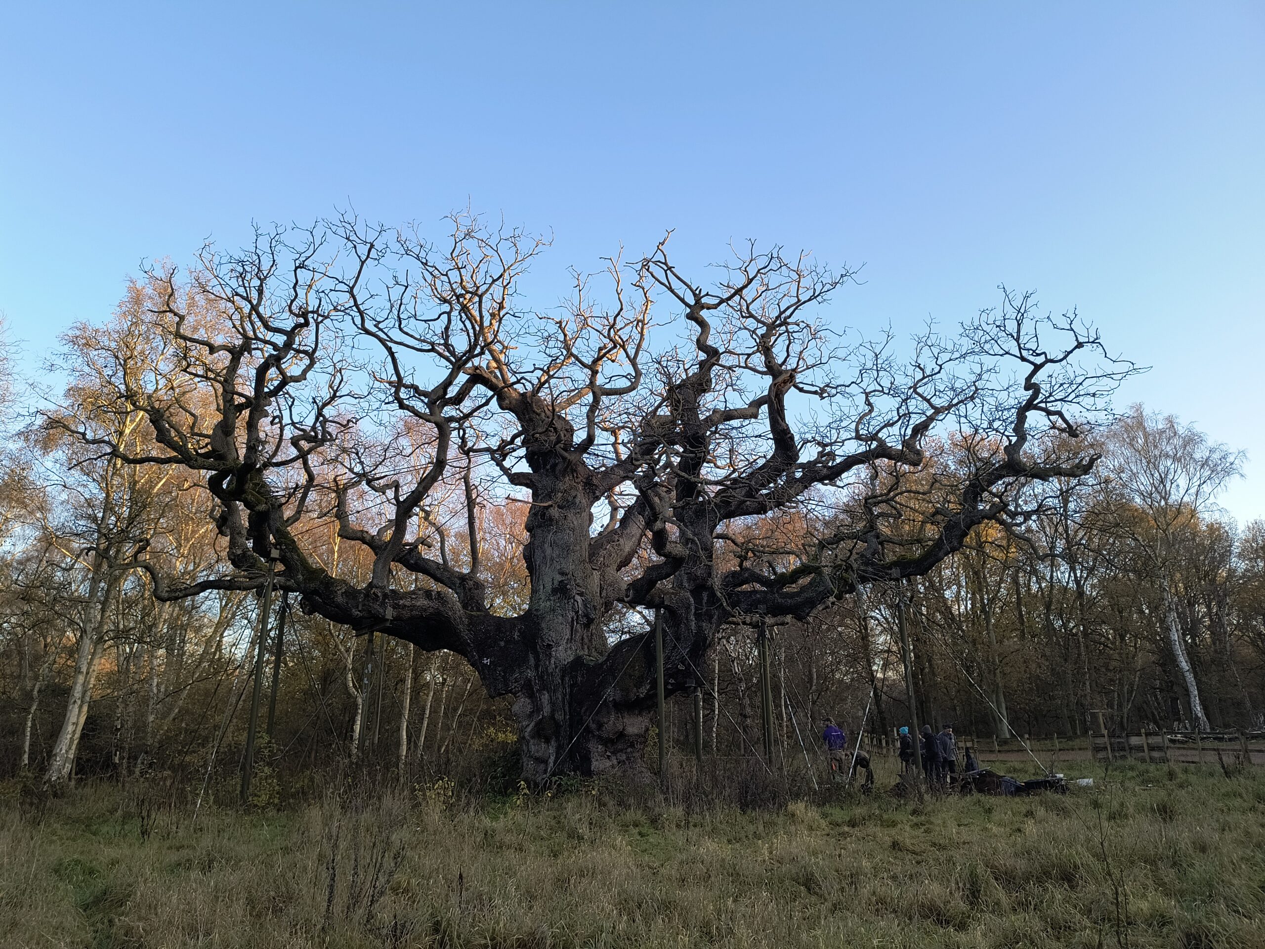 In search of Robin Hood